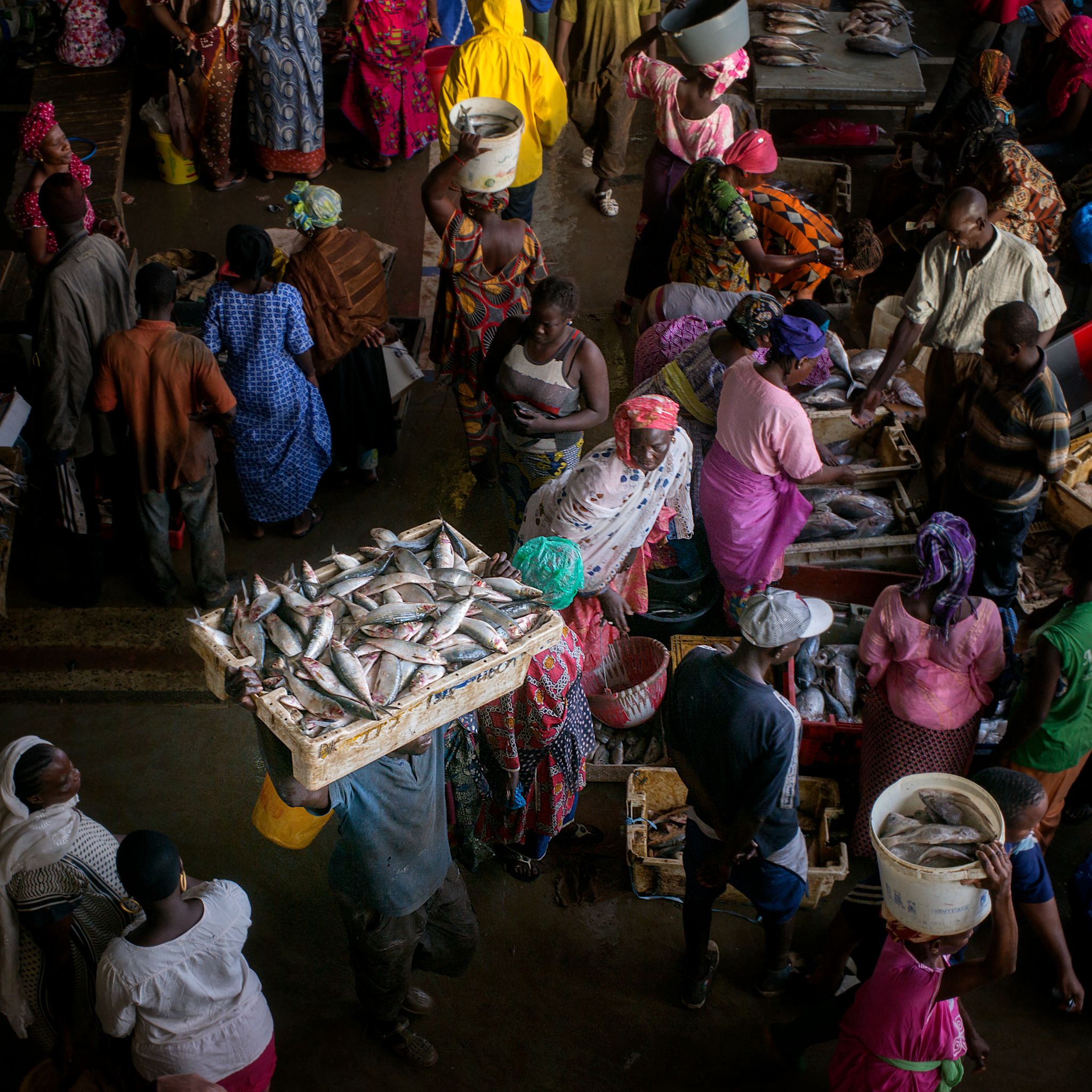 M150821SEN_Fishmarket1001701