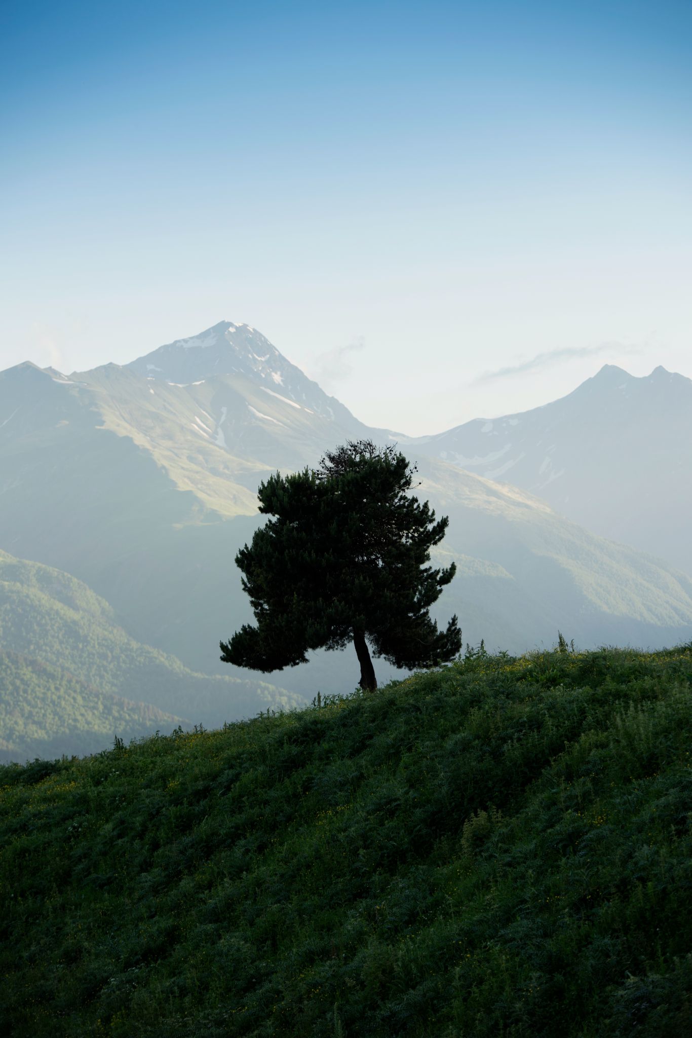 Georgia | Tusheti Parc