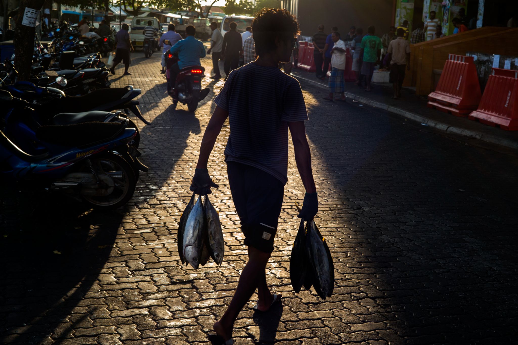 M150129MV_Male1009544