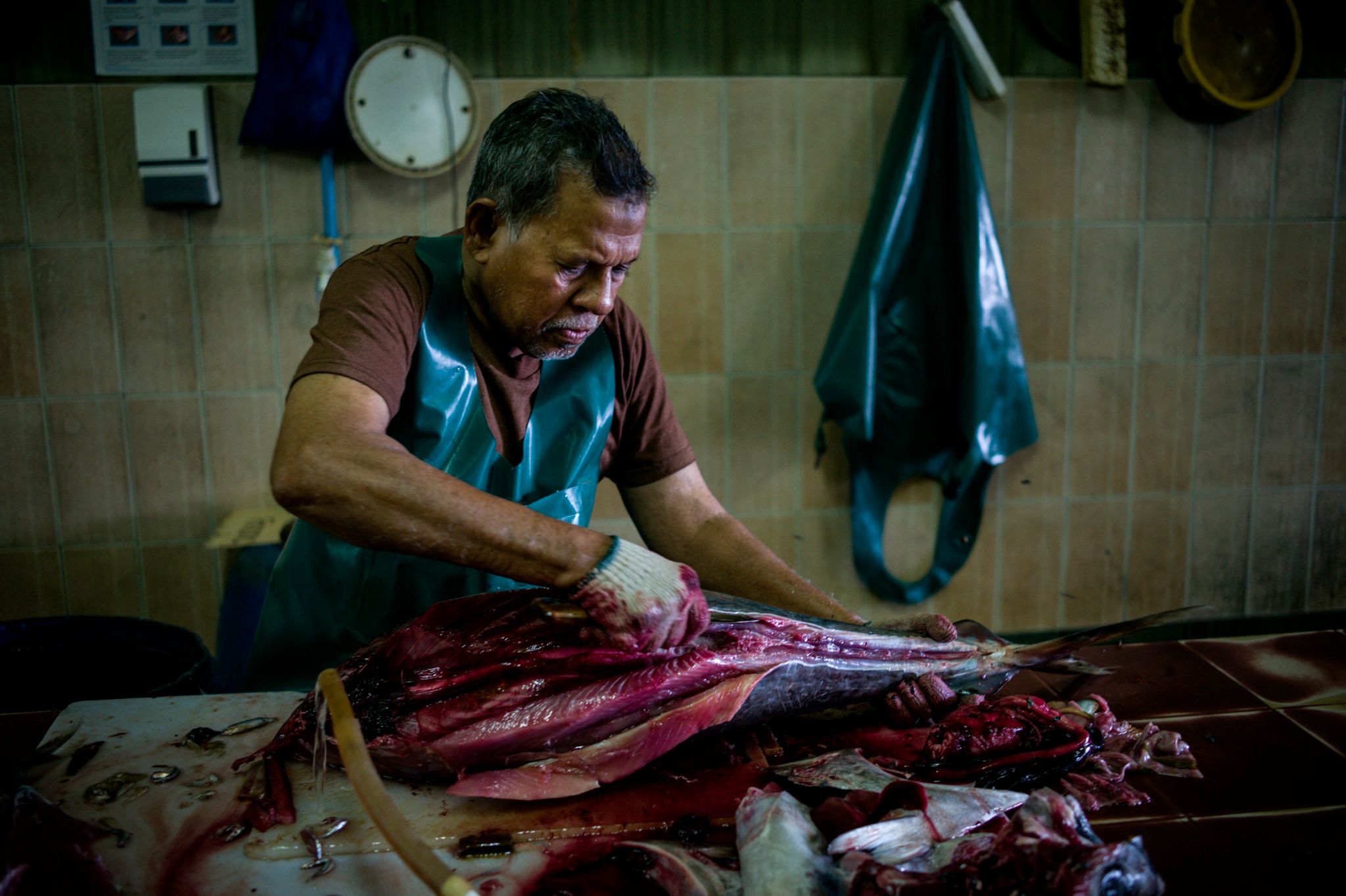 M150229MV_Male1009943