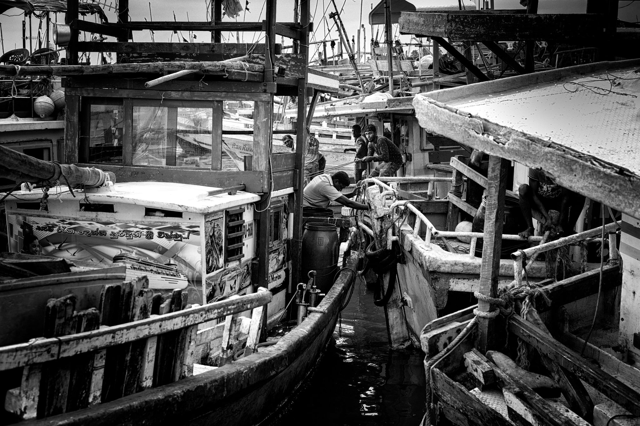 M20160621LK_DondraFish1001309