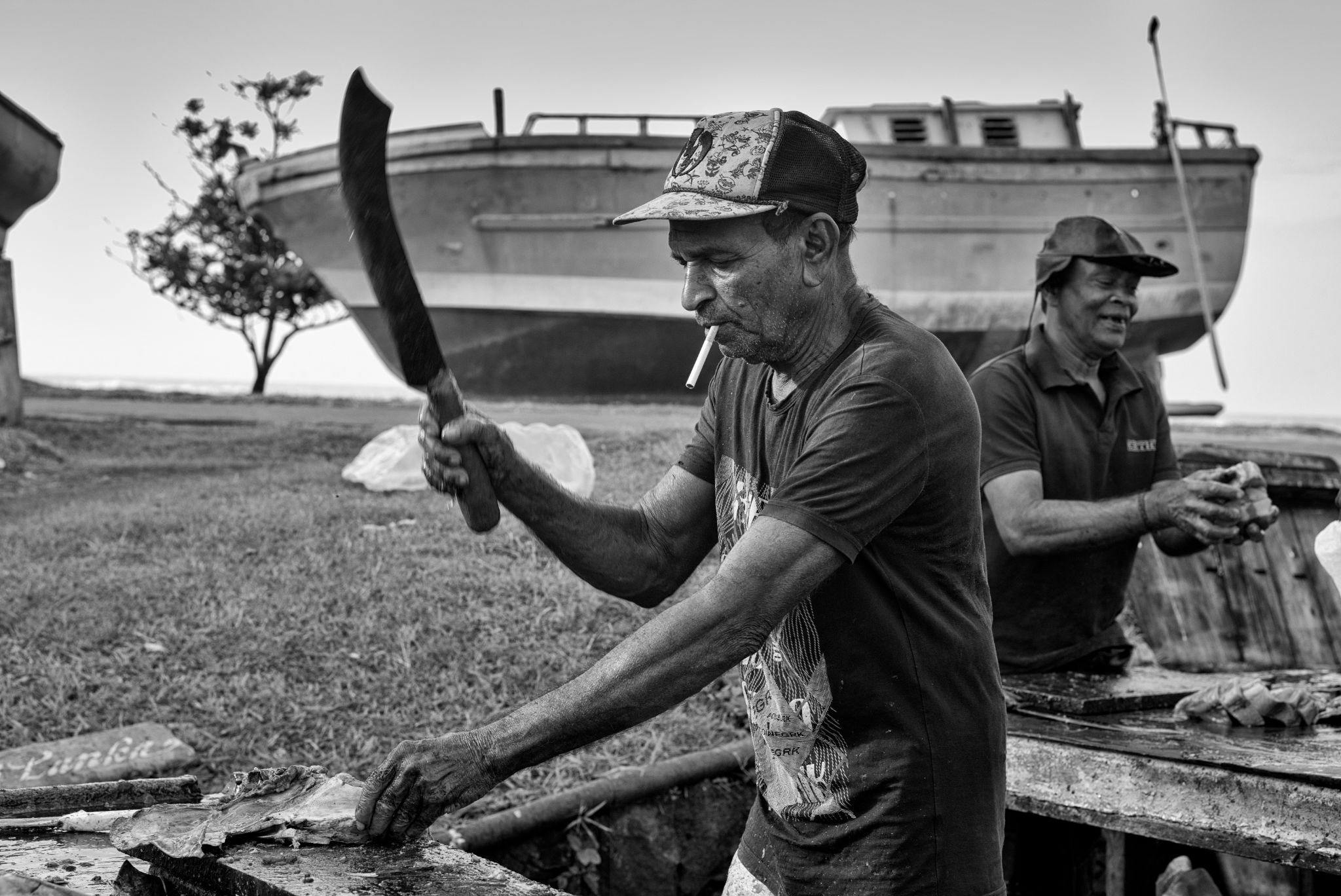 M20160621LK_DondraFish1002179