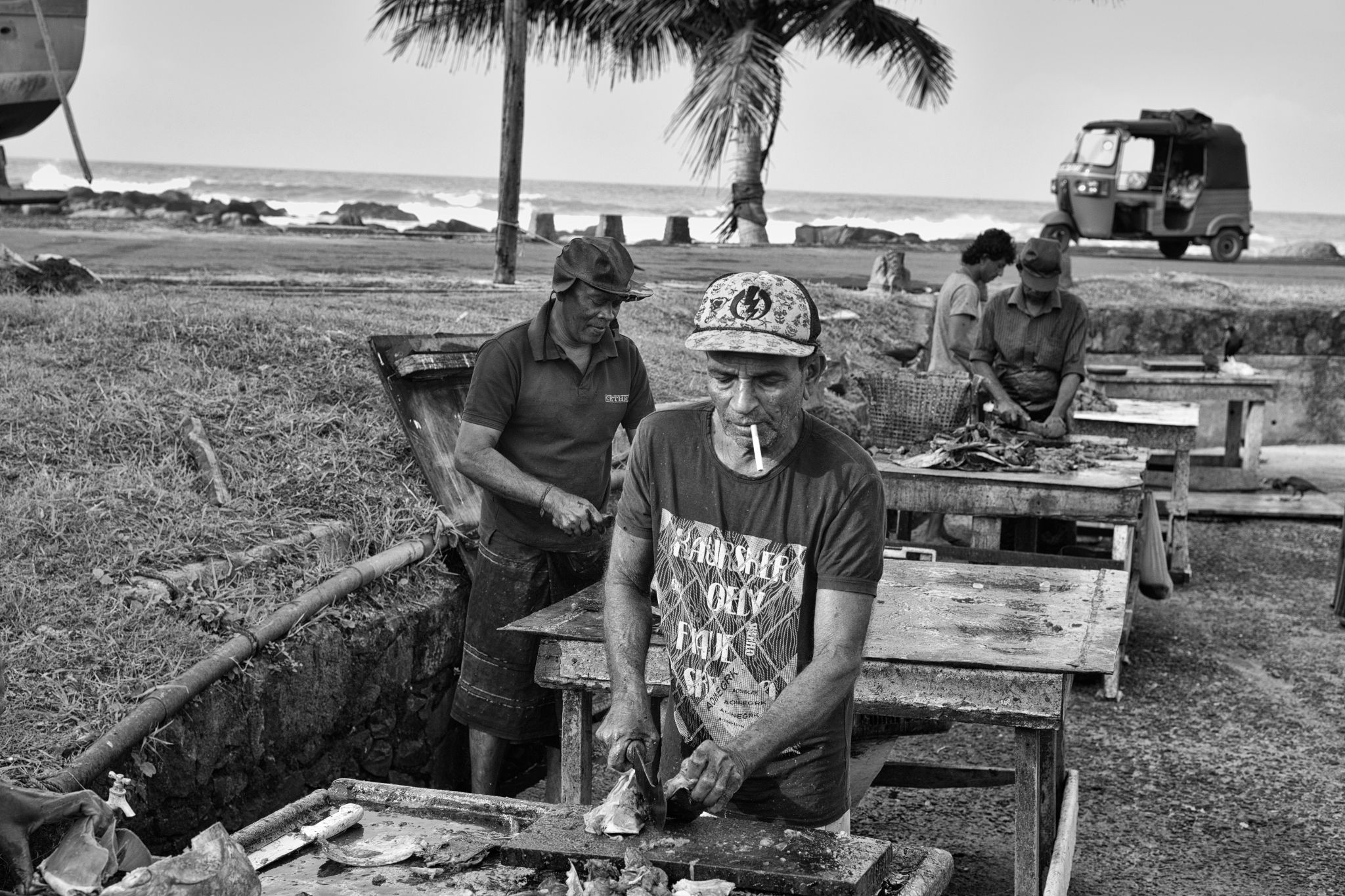 M20160621LK_DondraFish1002186