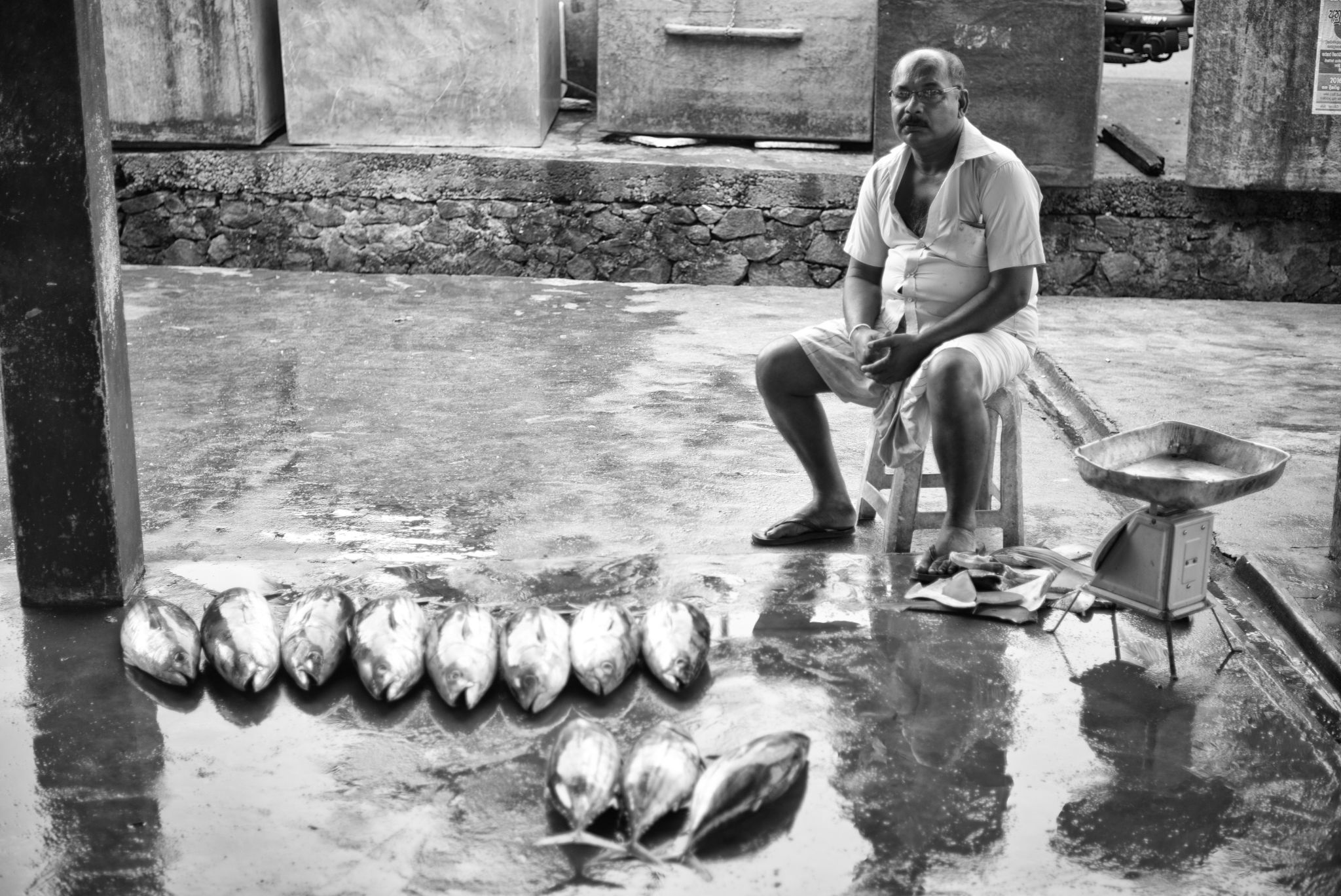 M20160621LK_DondraFish1002555